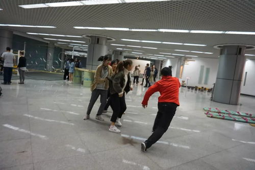 新西蘭風(fēng)情文化集市 跨越山海，邀您共赴一場藝術(shù)盛宴